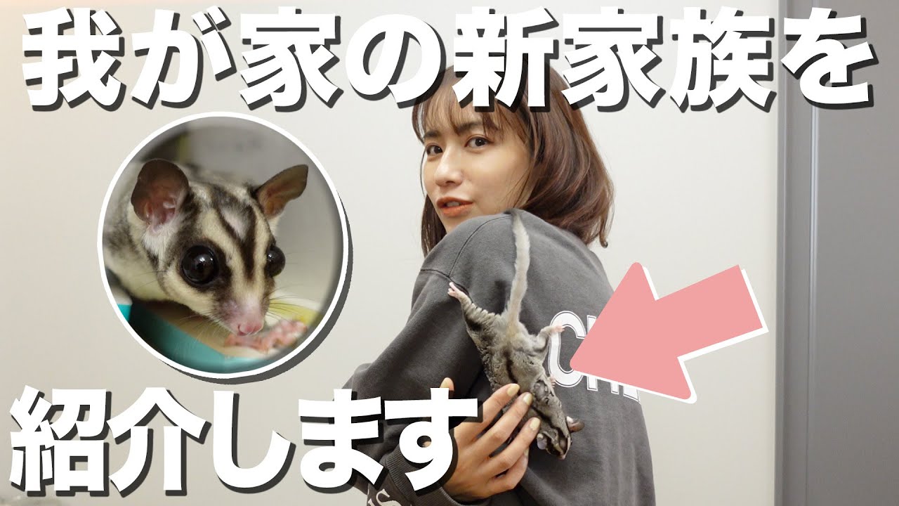 【モンちゃん】我が家の小さい新家族をご紹介します！！