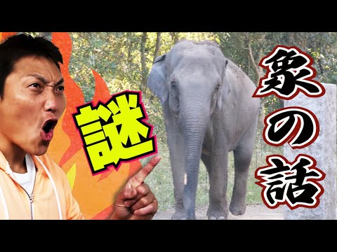 サバンナ八木「ゾウ」について１０分語る…【#703】