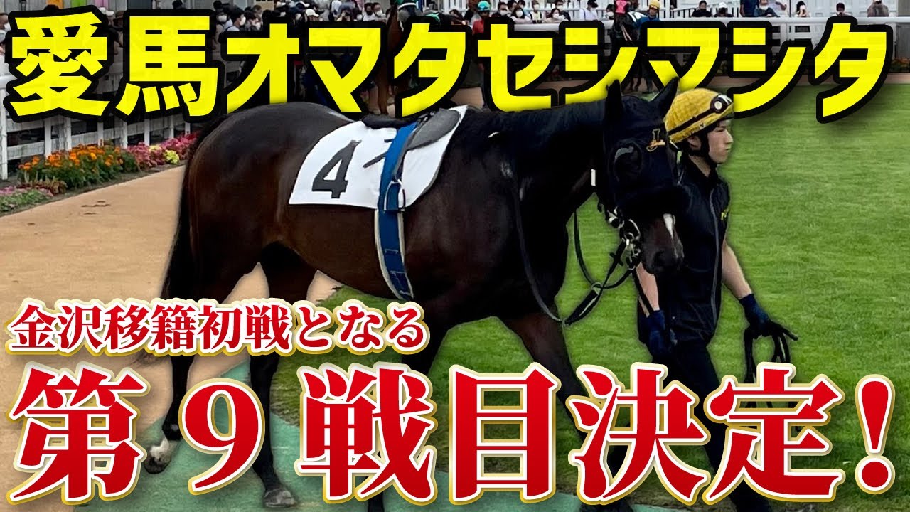 【馬主】愛馬オマタセシマシタの9戦目が決定！移籍初戦で初勝利なるか！？