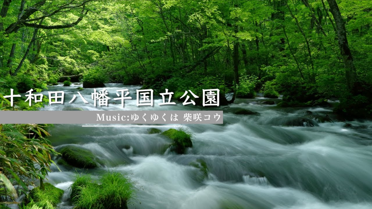 「十和田八幡平国立公園」-Sharing Trip-#14