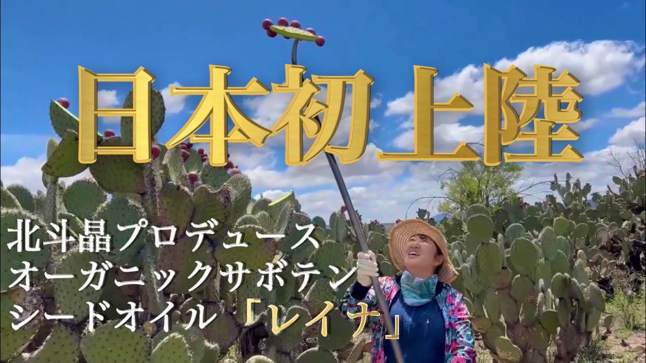 【日本初上陸】砂漠化していく大人肌にうるおい引き込む　北斗晶プロデュース『100%オーガニック　サボテンシードオイル』