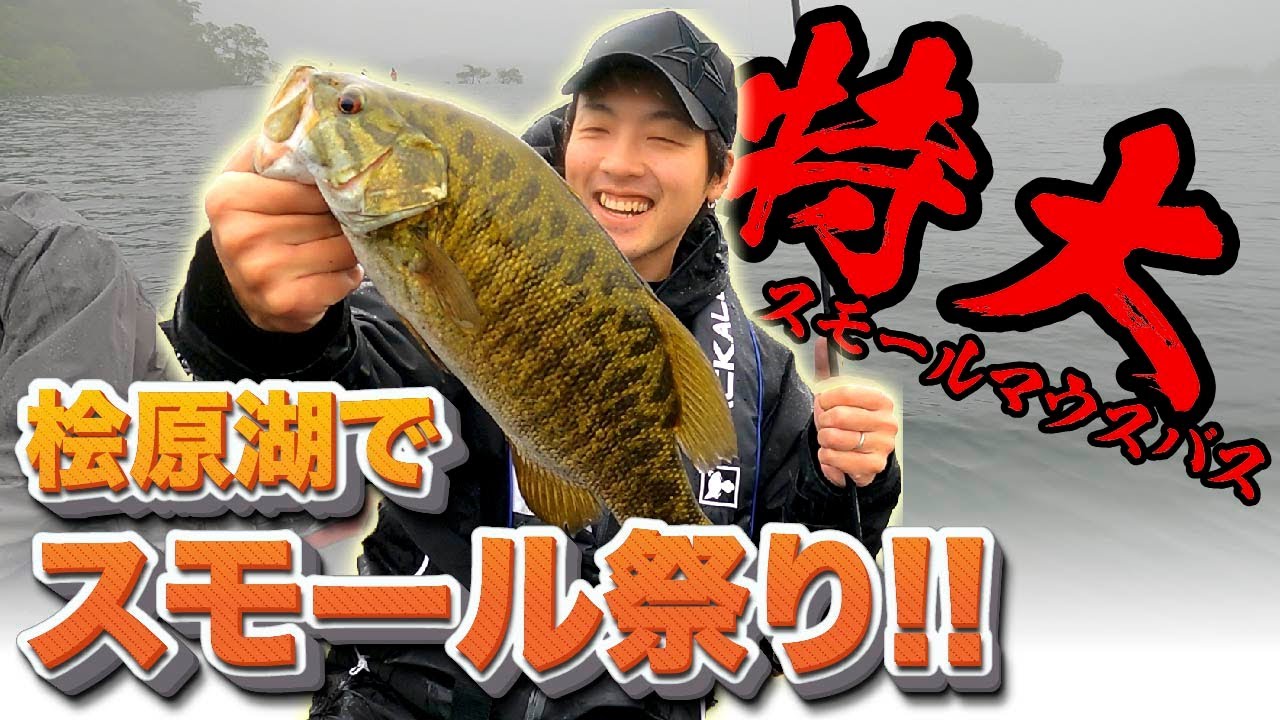 桧原湖で釣りまくってきた！【スモールマウスバス釣り】