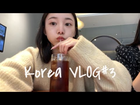 【韓国VLOG】ラストDAY🐤おしゃカフェ行って美味しいご飯食べてただただ幸せ