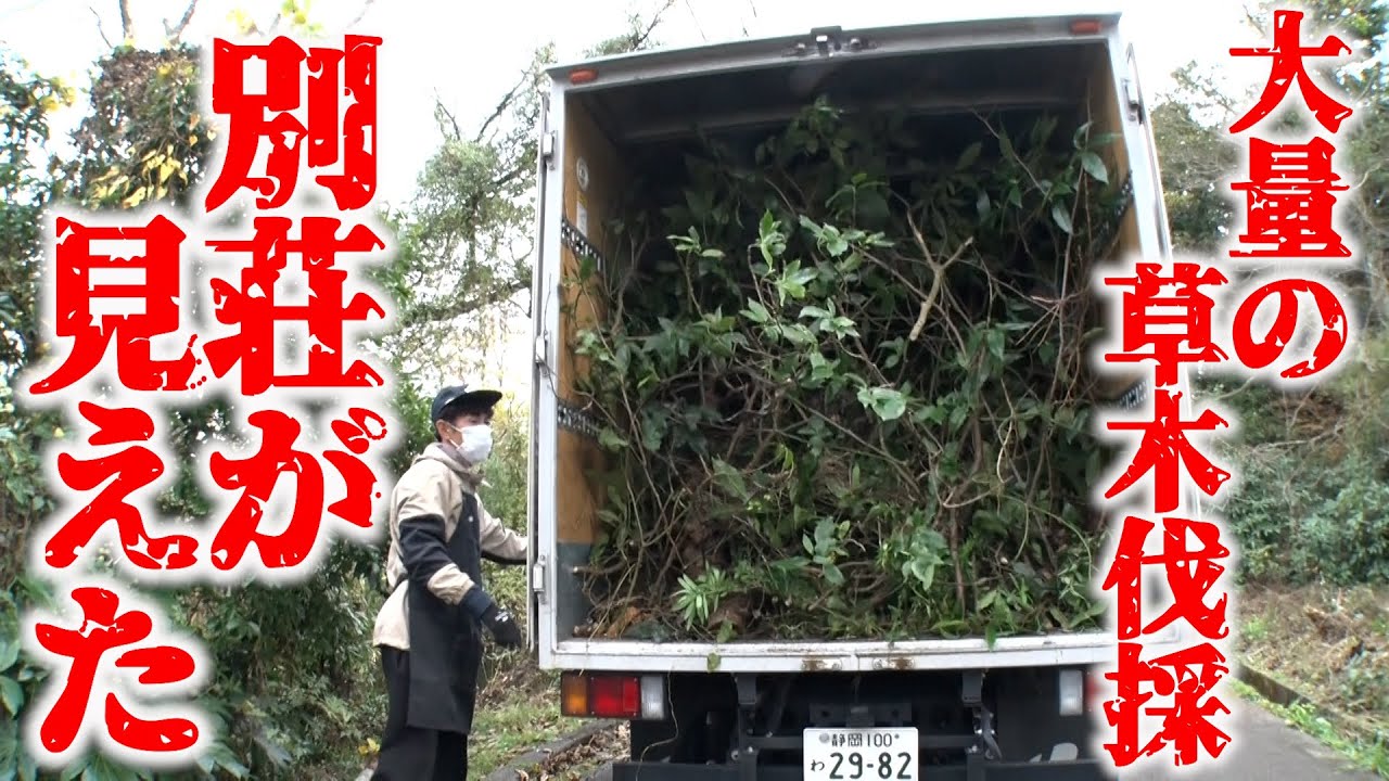 【本格始動】自分たちの別荘の草木を刈ると家の全貌がほぼ明らかに！