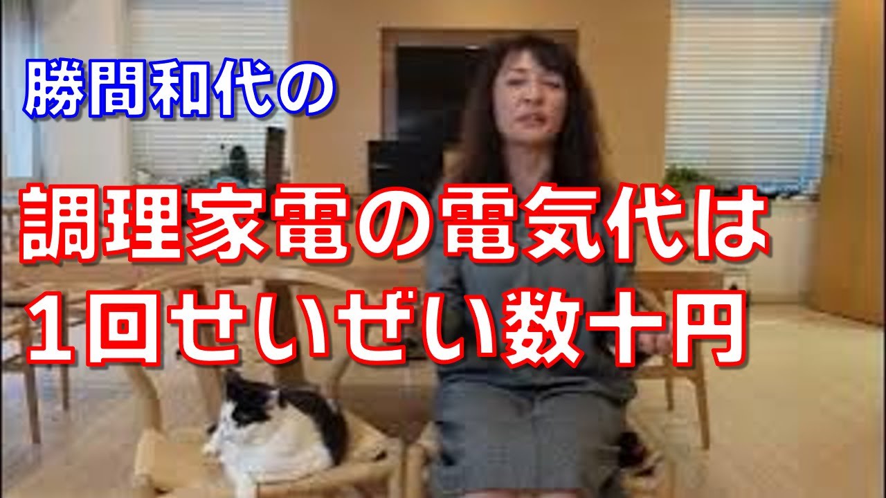 調理家電の電気代は1回せいぜい数十円。電気代を気にして導入しないのはもったいないです。