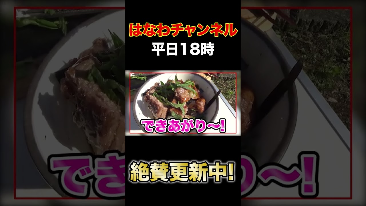 【飯テロ】お庭でママと最高の焼肉ランチ🍚【新居の庭で焼肉】はなわ家ママ特製【佐賀牛飯】【佐賀牛バーガー】【ステーキ】【ハンバーグ】【ブロッコリー】【モモちゃん】#shorts