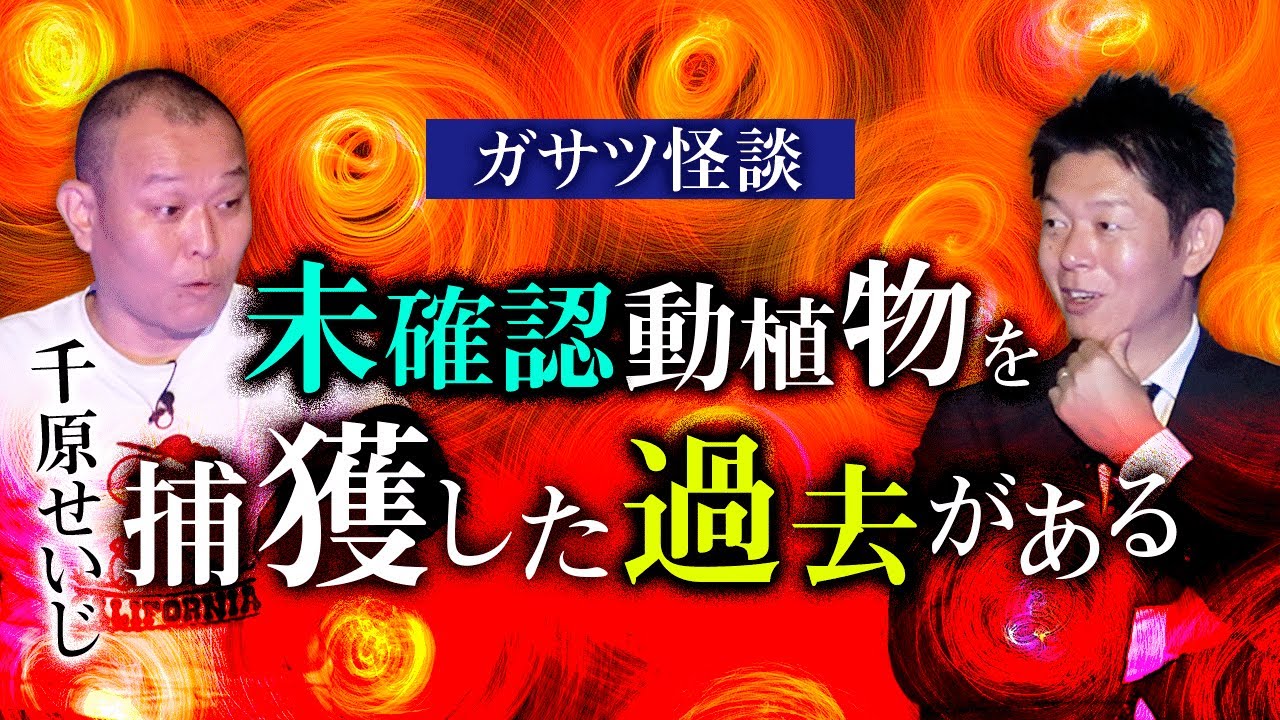 【千原せいじ】ガサツ怪談👻未確認動植物を捕獲した過去『島田秀平のお怪談巡り』