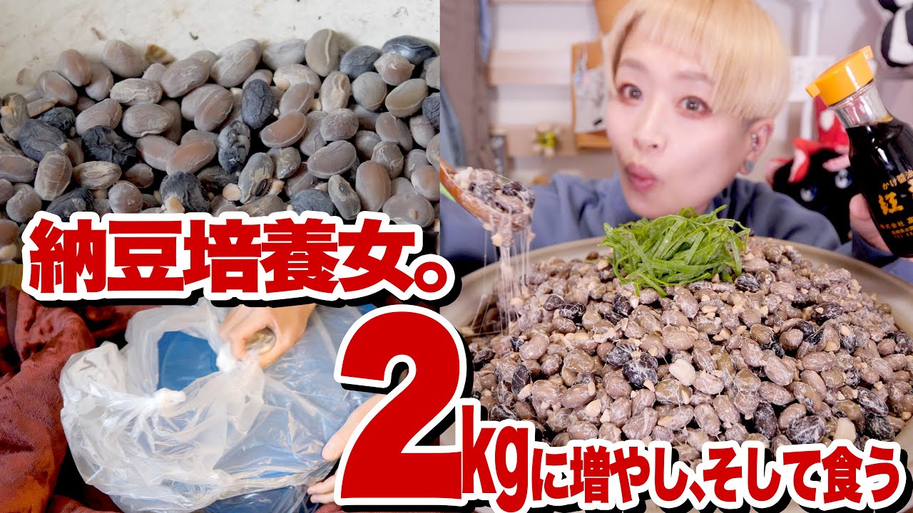 【大食い】納豆食べたい!! 4kg超納豆ごはんを作るため、ついに納豆を培養しだした女。【モッパン】【MUKBANG】
