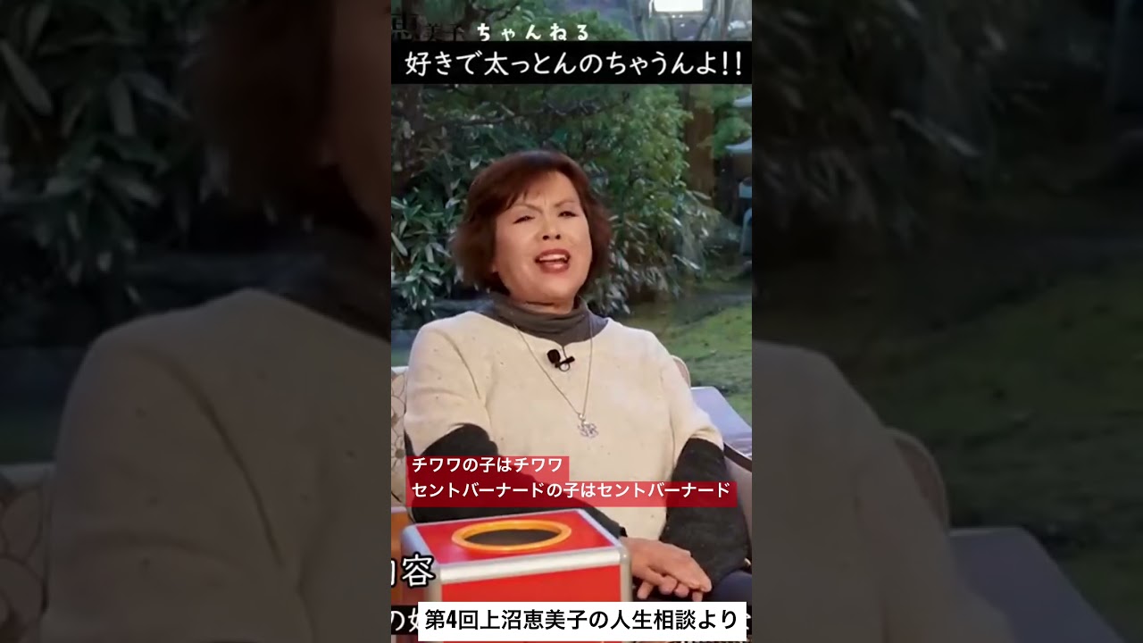 第4回上沼恵美子の人生相談より【チワワの子はチワワ。セントバーナードの子はセントバーナード】