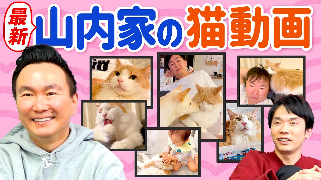 【最新】かまいたち山内家の猫動画を公開！