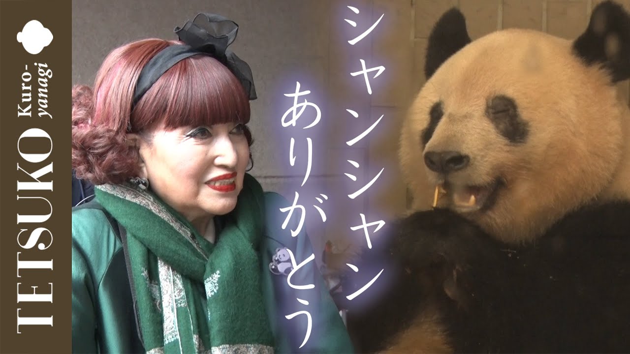 【出張！上野動物園】パンダ家族に徹子大興奮！さよならシャンシャン