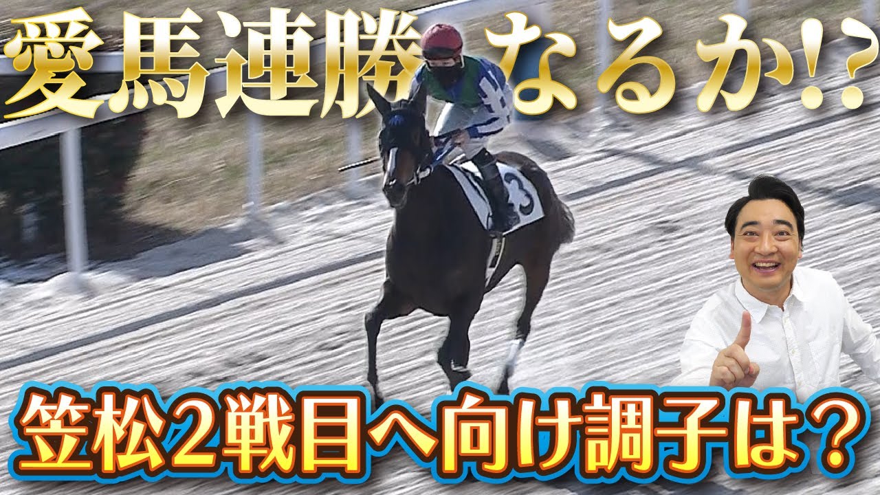 【いざ連勝へ】愛馬オマタセシマシタ連勝を懸け笠松2戦目へ！直前の様子と調教映像を公開！