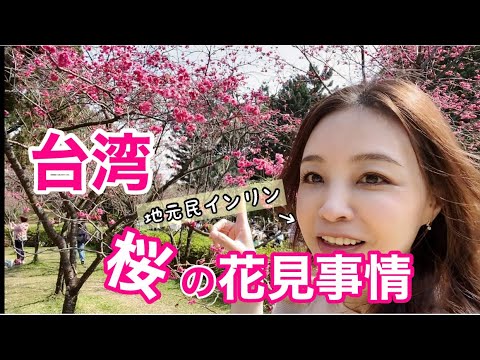 【台湾】桜満開！中正紀念堂に行ってみた！桜の品種は？花見文化は日本と違う？〜インリンが紹介！