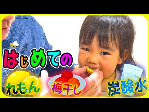 【初リアクション芸😁】初めてのチェリ子ちゃん！！🍋