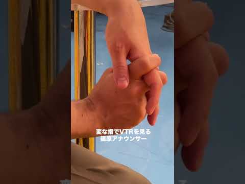 ヒルナンデス生放送に勝手に撮った動画まとめ