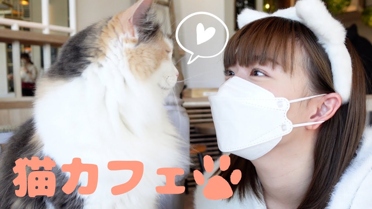 【休日Vlog】はじめての猫カフェで癒されてきました🐾【阿部華也子】
