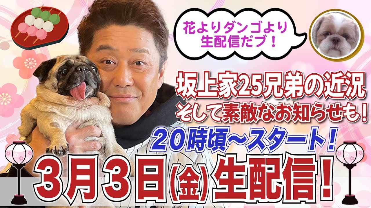 【生配信！】３月３日（金）よる８時頃～生配信！今回も素敵なお知らせが盛りだくさん！！ゲストワンコ＆ニャンコは誰だ！？