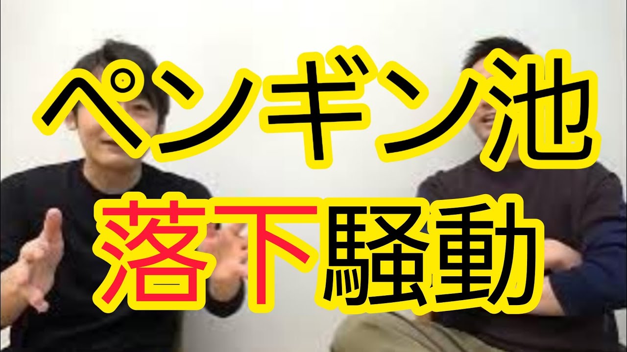 【ペンギン池落下騒動】誰か一人が悪いわけではない