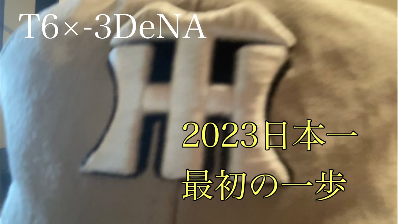 【ダンカンの虎輪書】 2023.3.31 T6×-3DeNA