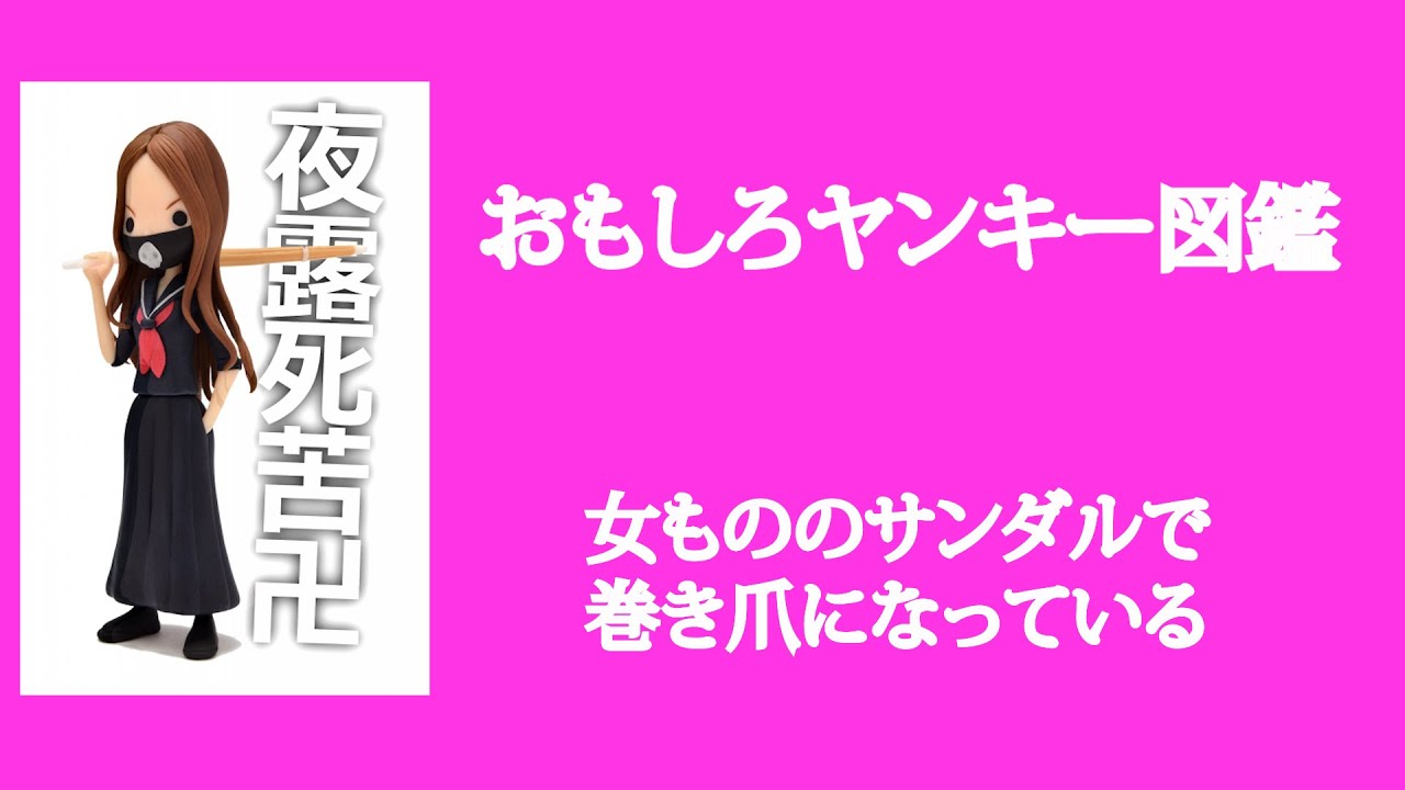 3月31日　「おもしろヤンキー図鑑」