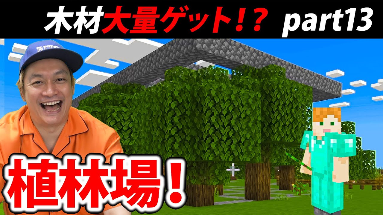 【マイクラ】資材不足解消へ！はじめての植林場を作る！【リトカ名人のマインクラフト実況part11】【リトクラ】