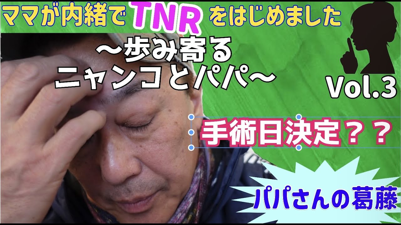 ママが内緒でTNRをはじめましたVol.3〜いよいよ手術？ニャンコ達の絆とパパさんの葛藤編〜