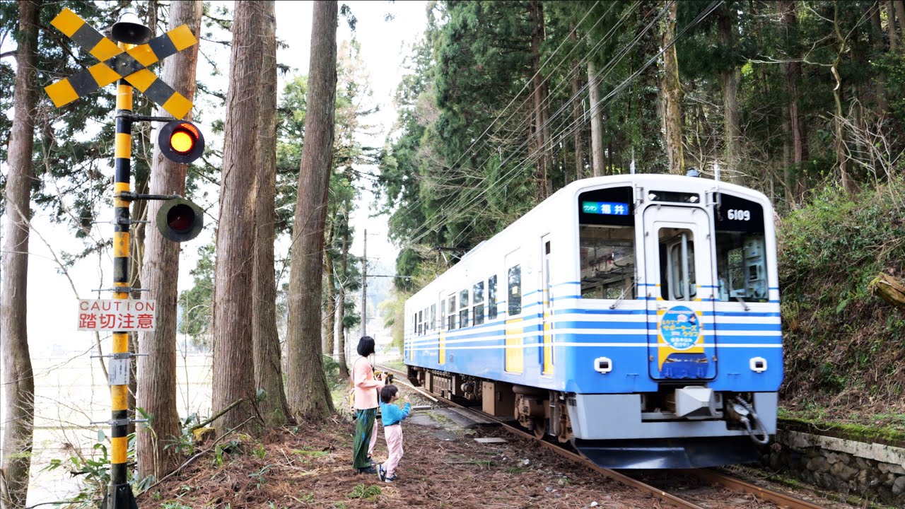 森の中に突然現る 草刈場踏切に行ってきた えちぜん鉄道