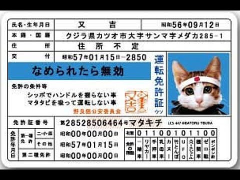 4月1９日水曜日　「大変そうなこと」　ドンキの棚卸