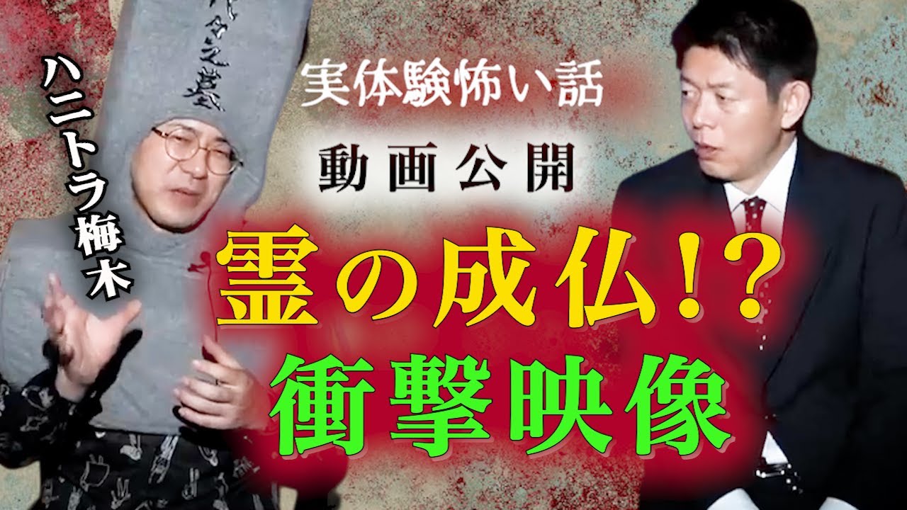 【怪談だけお怪談】ハニトラ梅木霊の成仏の映像!?”※切り抜きです『島田秀平のお怪談巡り』