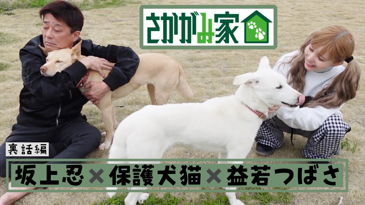 テレビじゃ話せない?! 坂上忍×益若つばさの保護犬猫と芸能界の裏側（inさかがみ家）