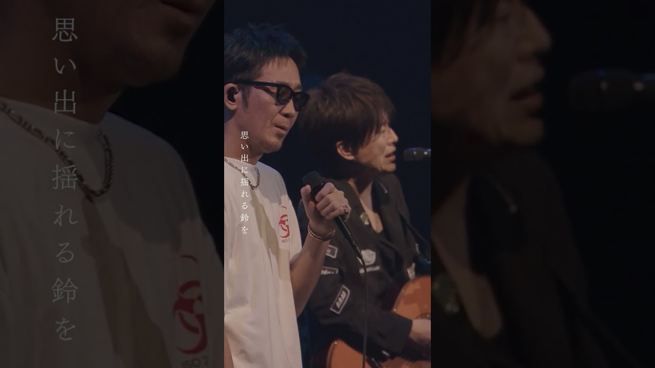 【コブクロ】ライブ映像｢夏の雫｣   LIVE TOUR 2017 “心” #shorts  #コブクロ #夏の雫 #夏