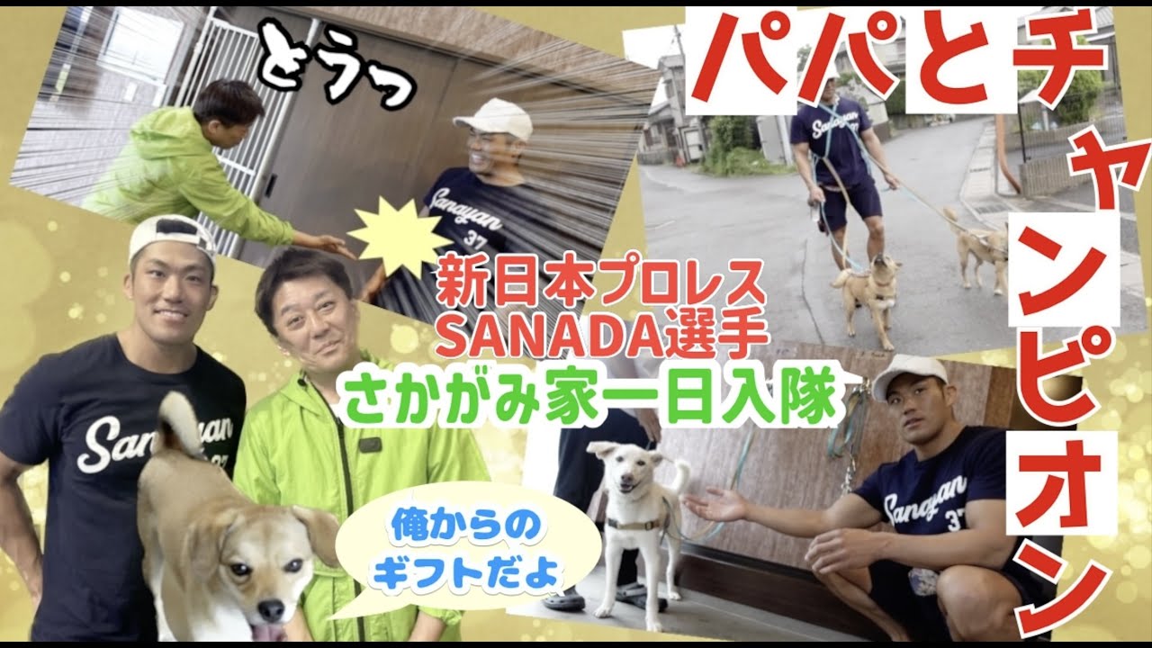 パパとチャンピオン〜新日本プロレスのSANADA選手1日お世話体験〜