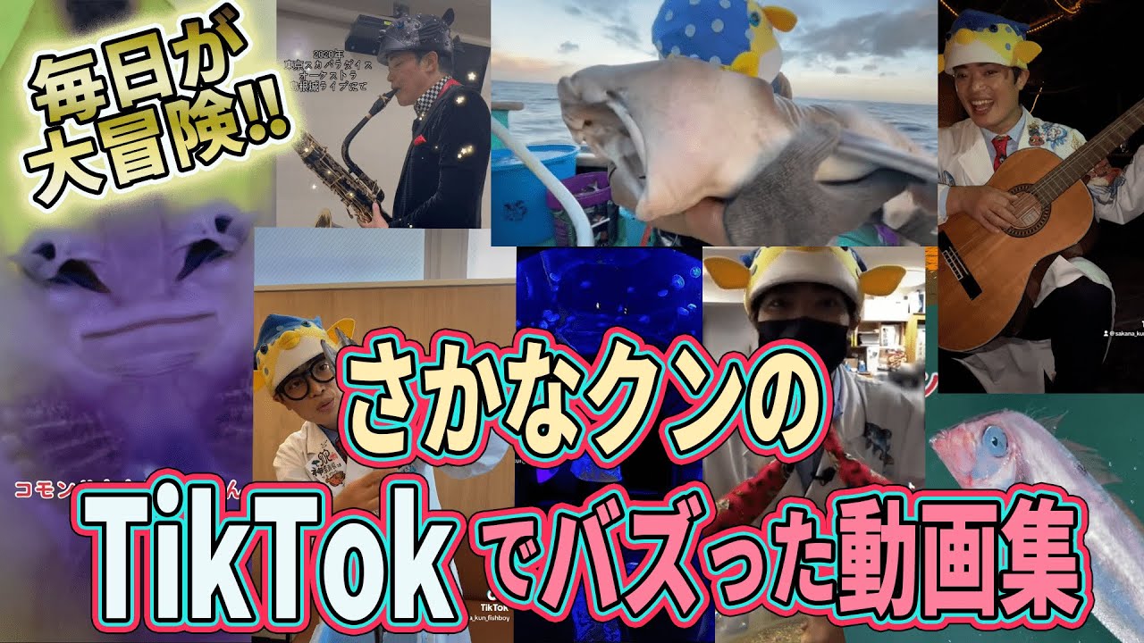 TikTokで人気の動画をギュっと凝縮！【これさえ見れば！】