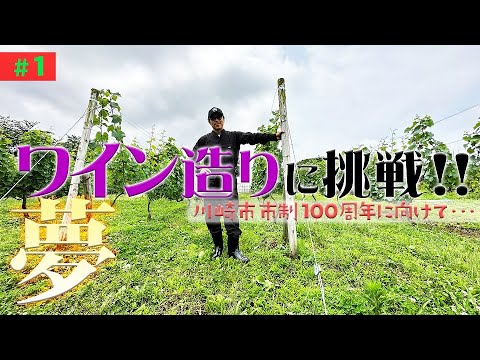 【新企画】MATSU、ワイン造るってよ in川崎