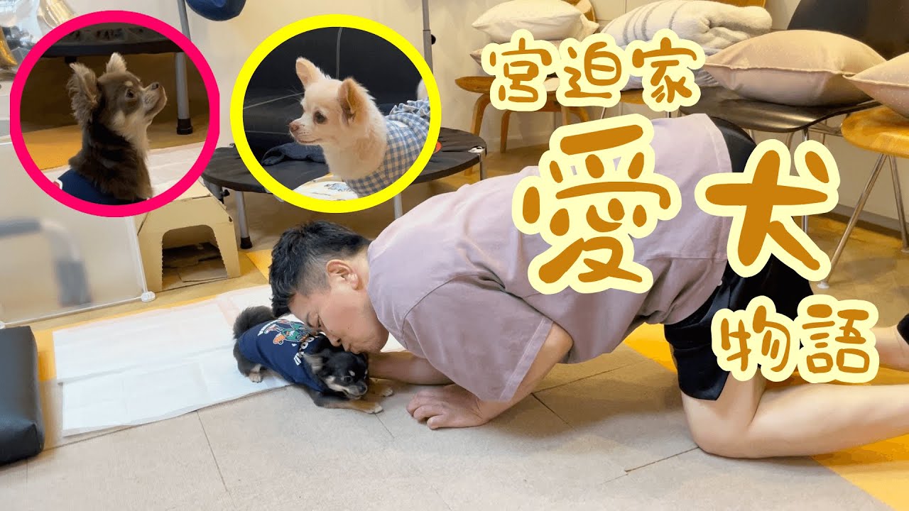 宮迫家愛犬物語 〜おすわりできるかな？〜