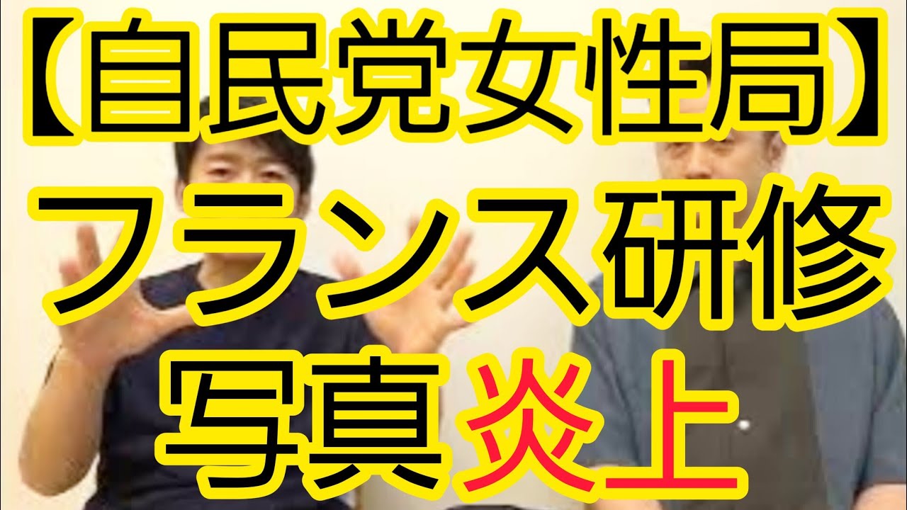 【自民党女性局】フランス研修投稿写真への批判について