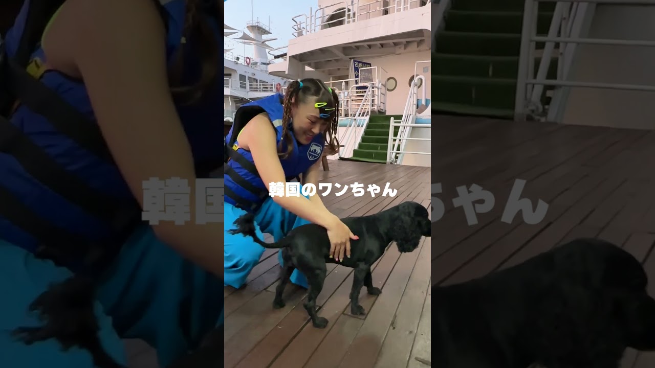 犬と戯れるフワちゃん平和動画