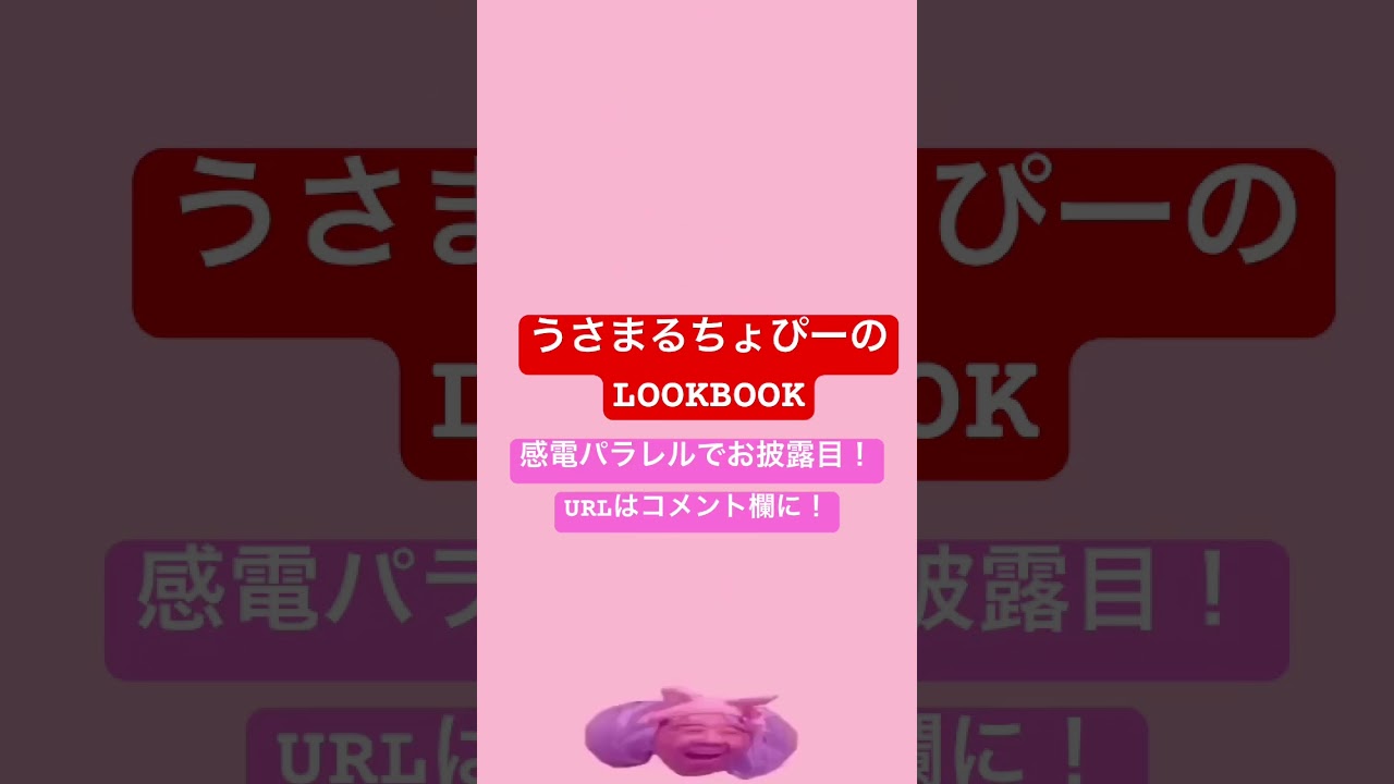 うさまるちょぴーのLOOKBOOKお披露目したよ！