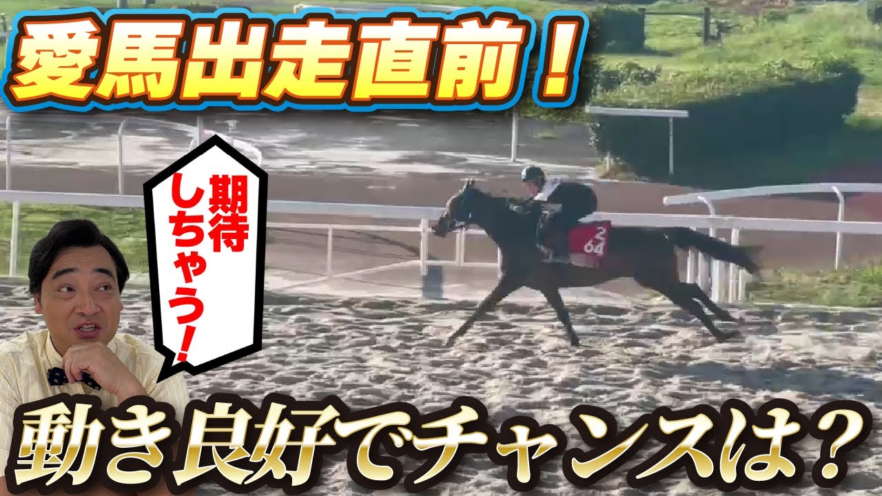 【馬主】愛馬オマタセシマシタ出走直前！久々勝利を目指す！