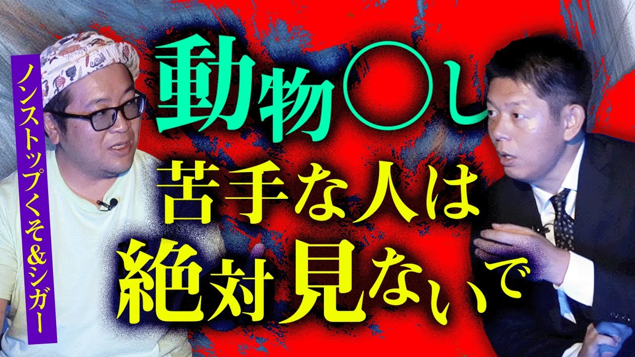 【ノンストップ くそ&シガー】動物に関する残酷な描写があります苦手な方はご視聴を控えてください『島田秀平のお怪談巡り』