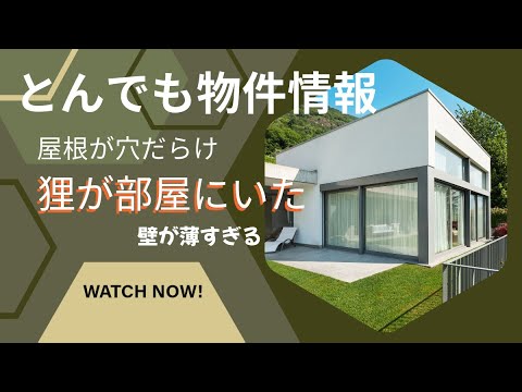 9月26日火曜日　「とんでも物件情報」　壁が薄くて、寝相の悪い人の足がぶち破ってきた