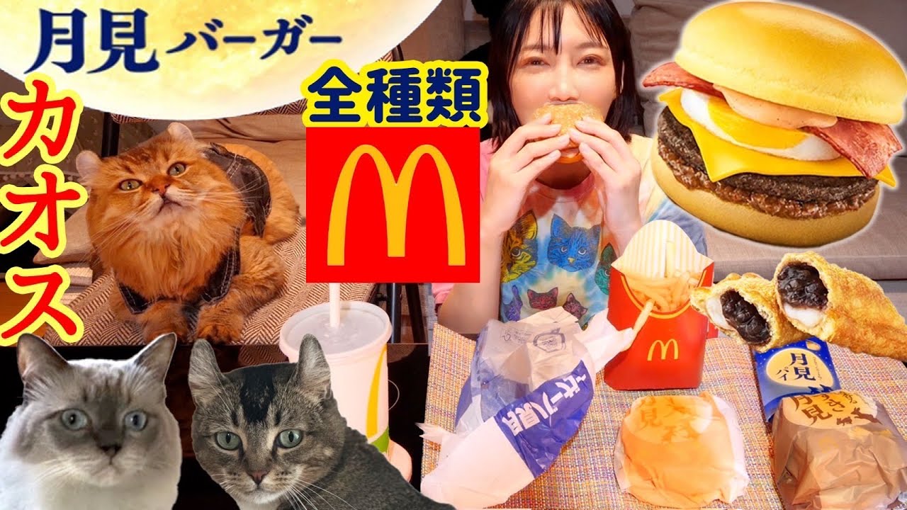 【マクドナルド】月見バーガー2023全種類！ポテト！コーラ！期間限定 月見パイ[愛猫メルが可愛さ大爆発のYouTuberデビュー！？♡ロンVSメル勃発！すうみーはひとり運動会[マック]【木下ゆうか】