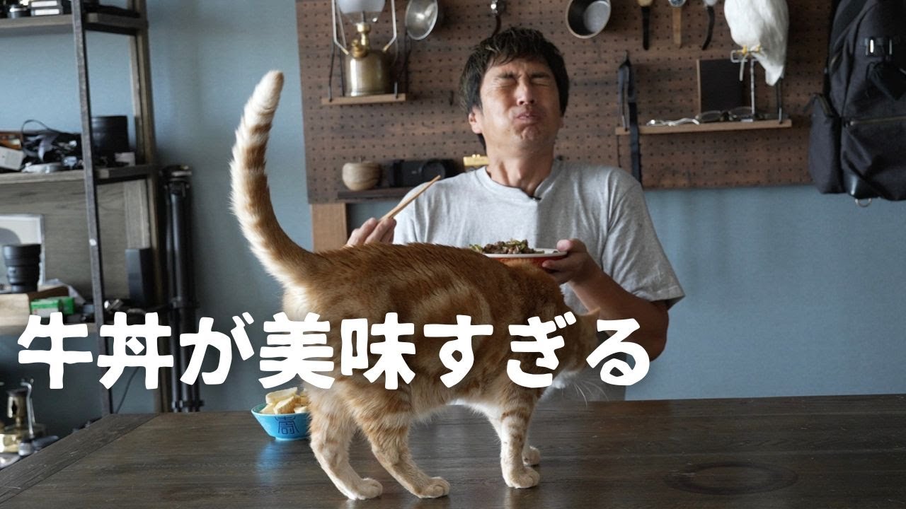 昼飯に牛丼を作る独身男性とその猫【こじらせ飯】