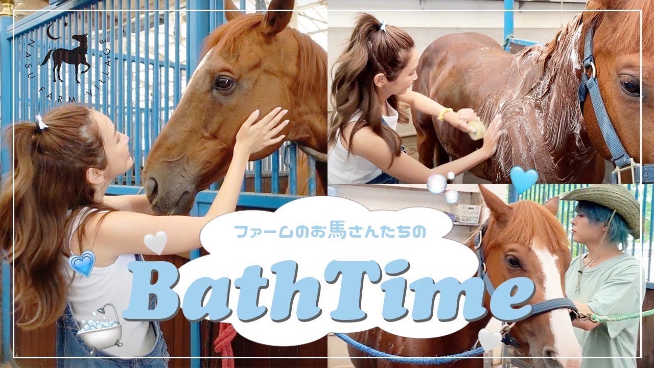 【日常】お馬さんのシャンプーしてきた🐴🛀