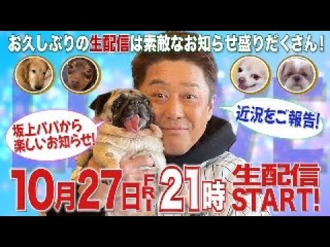 【生配信！】１０月２７日(金)よる９月頃～生配信！子猫の天使５兄弟も出演！？近況と素敵なお知らせも盛りだくさん！