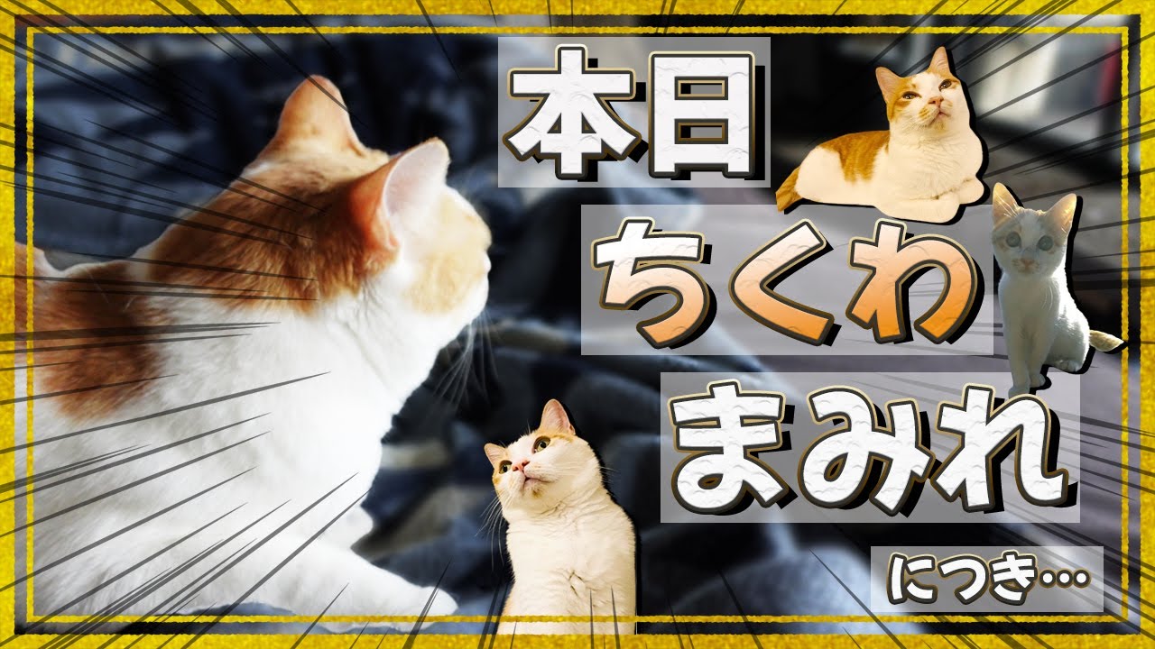 【坂上家】ワシの時代じゃ！山本ちくわの生きる道！！