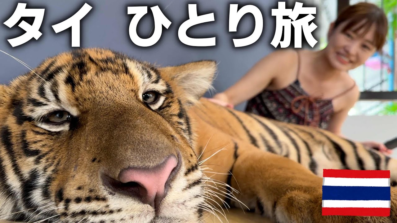 タイvlog｜動物たちとあり得ない距離でたくさん会えた日