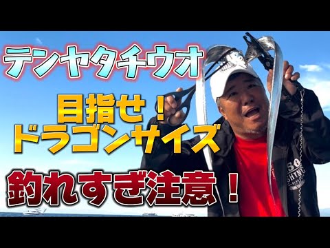 明石でタチウオ釣り!まさかの爆釣り⁉︎