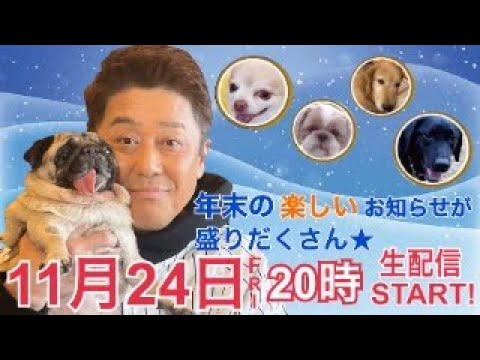 【２０２３年最後の生配信！？】１１月２４日(金)よる８時頃～小雪の候の生配信！年末の楽しいお知らせが盛りだくさん！！