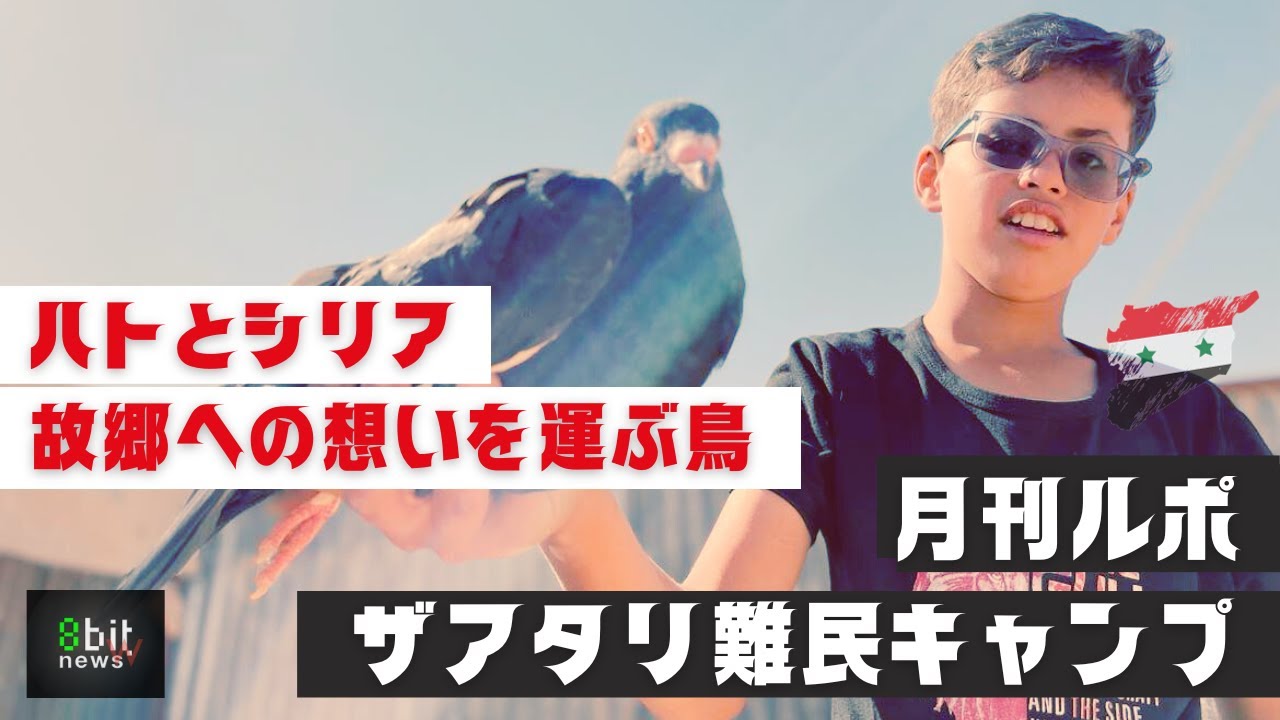 第7回　鳩とシリア　想いを運ぶ鳥　月刊ザアタリ難民キャンプ　シリア人ヤーセルさんからの便り　　produced by 8bitNews